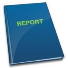 Report on export process and documentation